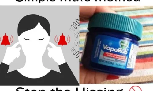 vvvv